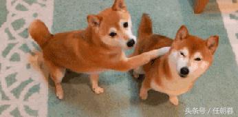 用电影台词和女孩搭讪 (如何用电影台词来表白)