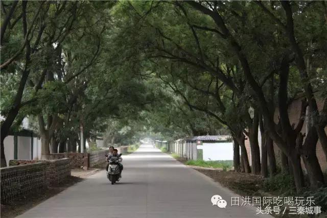 西安最好看灞桥风景,西安灞桥美丽的风景线
