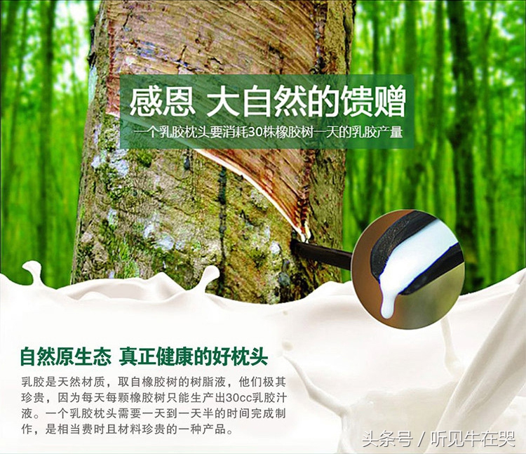 泰国乳胶枕latex,skytex泰国乳胶枕怎么样