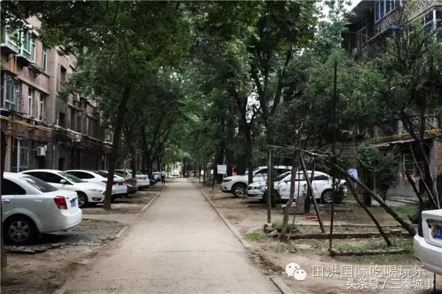 西安最好看灞桥风景,西安灞桥美丽的风景线