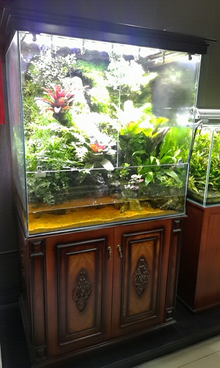 水族店发展思路,水族店开在哪里合适