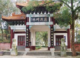 介绍一下湖南岳阳,湖南岳阳有什么出名的地方吗