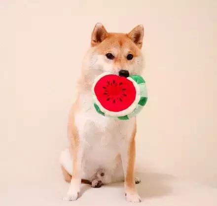 这就是别人家的员工餐视频,这就是别人家的爸爸原版视频