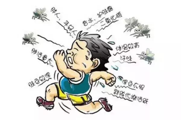 为什么蚊子只咬你一个人,为什么蚊子只咬你的脸