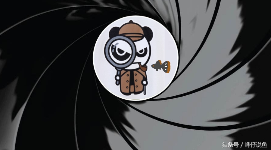 哗仔独家养水秘籍,哗仔独家开缸养水秘籍