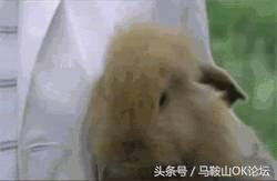 见过这样的马鞍山，你的年龄就暴露了！