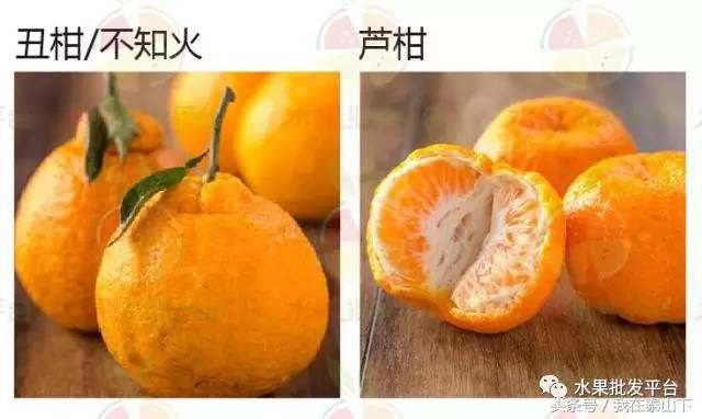 水果分类分为哪几类,超市水果分类表一览表