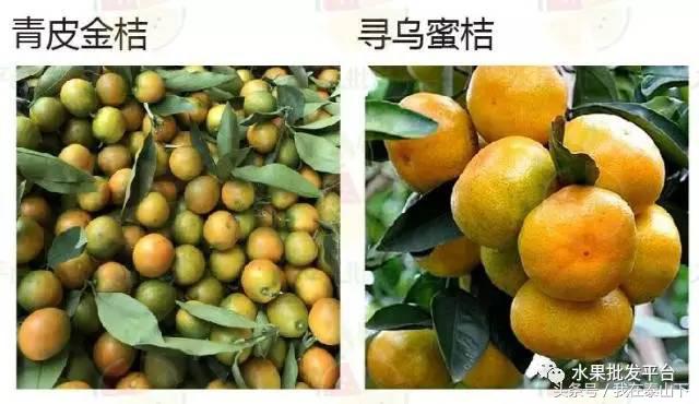 水果分类分为哪几类,超市水果分类表一览表