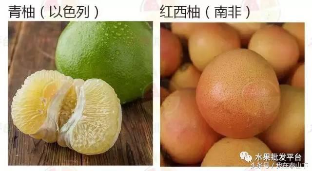 水果分类分为哪几类,超市水果分类表一览表