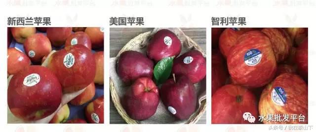 水果分类分为哪几类,超市水果分类表一览表