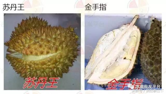 水果分类分为哪几类,超市水果分类表一览表