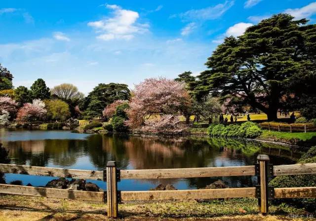 东京真的太好玩了,东京亲子自由行攻略