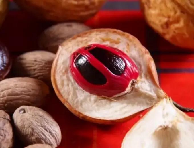 世界美食天堂槟城,24小时吃遍槟城