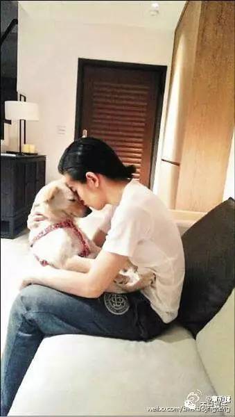 萧敬腾领养狗狗,萧敬腾领养孩子