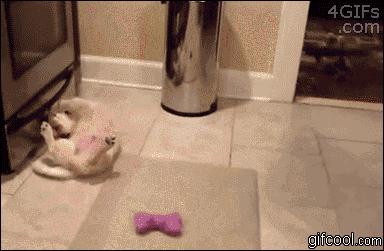 喜欢海飞丝的味道,海飞丝什么味道比较香