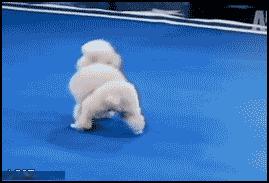 十条笑话：办公室的女人打赌：用同一套问题，打电话问她们的男人