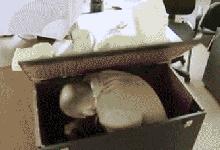 捉迷藏高手潜藏,捉迷藏的高手是谁