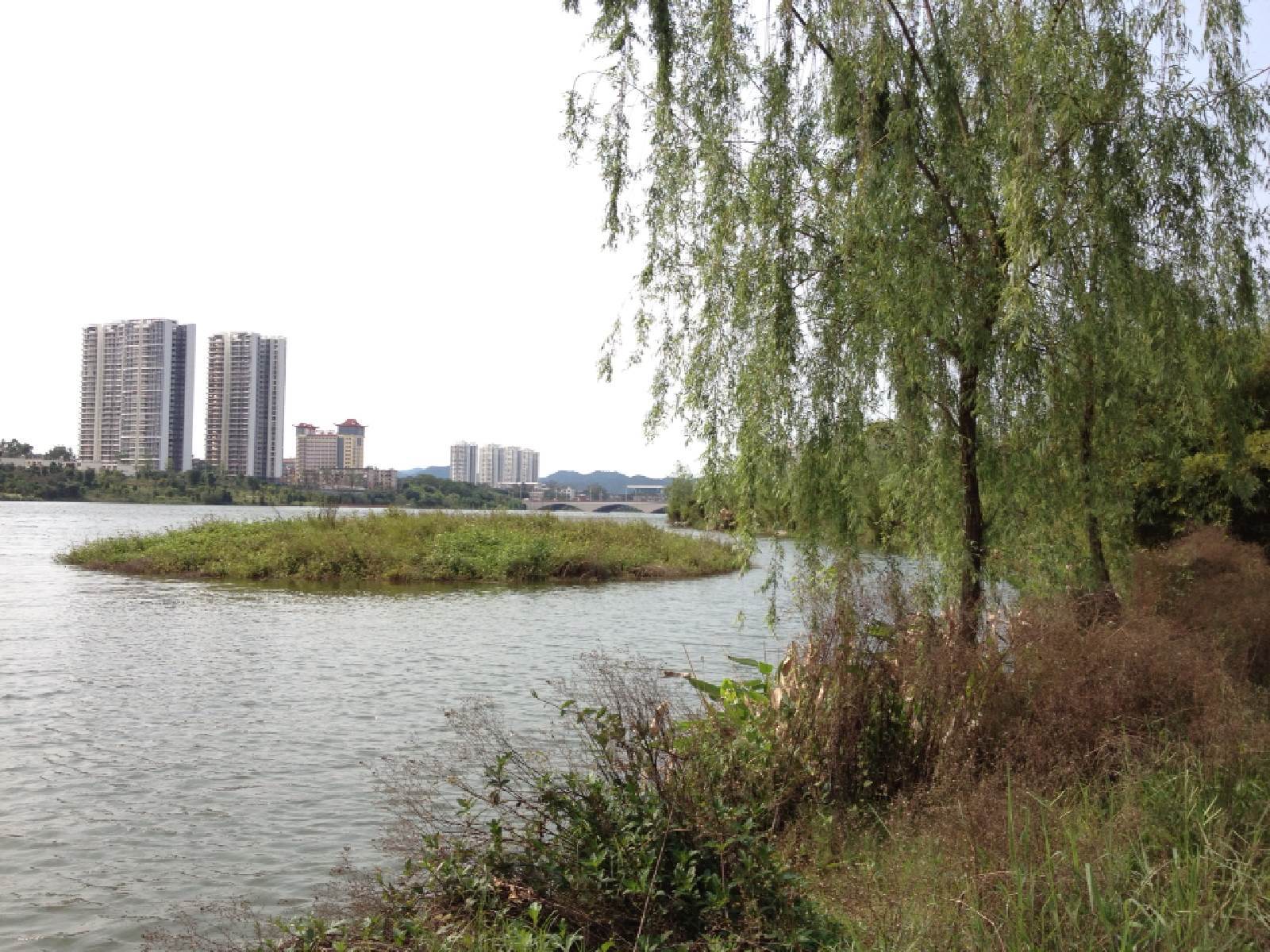 广西南宁最发达的地方,南宁市最发达五个县