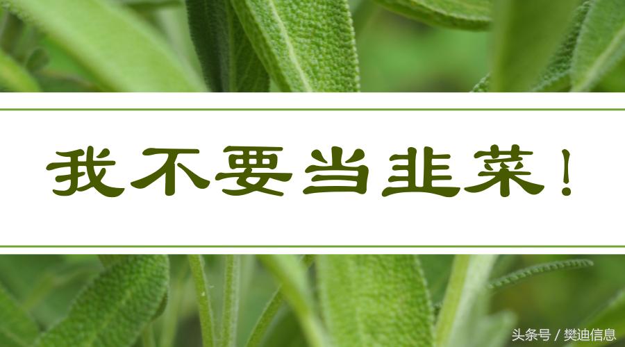 投资者教育财经视频,详解港股做空机制之一