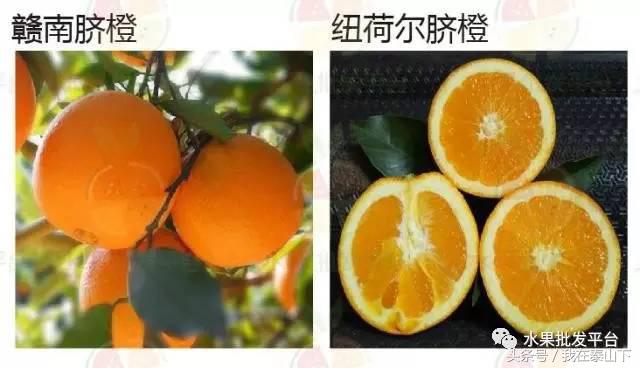 水果分类分为哪几类,超市水果分类表一览表