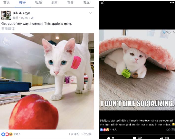 欢乐颂2曲筱绡谈项目迟到,欢乐颂2曲筱绡感觉好幸福