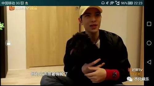 萧敬腾领养狗狗,萧敬腾领养孩子