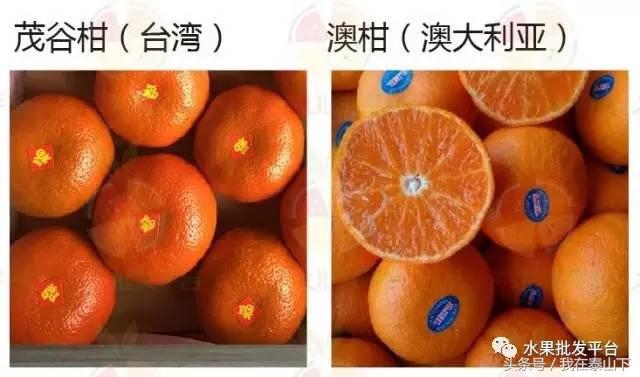 水果分类分为哪几类,超市水果分类表一览表