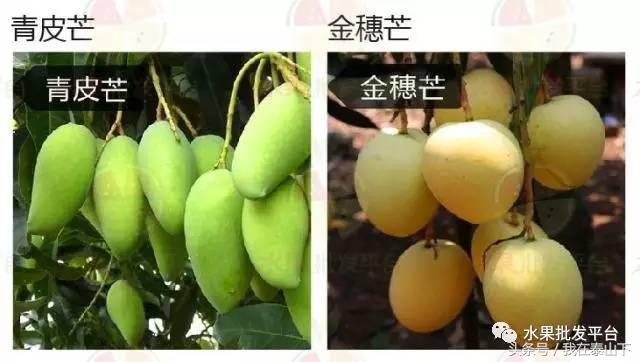 水果分类分为哪几类,超市水果分类表一览表