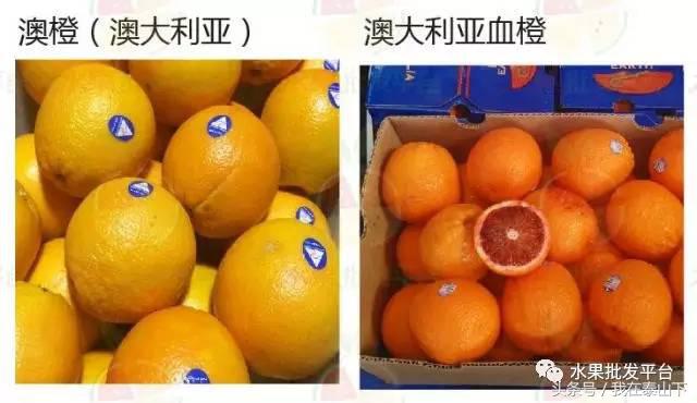 水果分类分为哪几类,超市水果分类表一览表