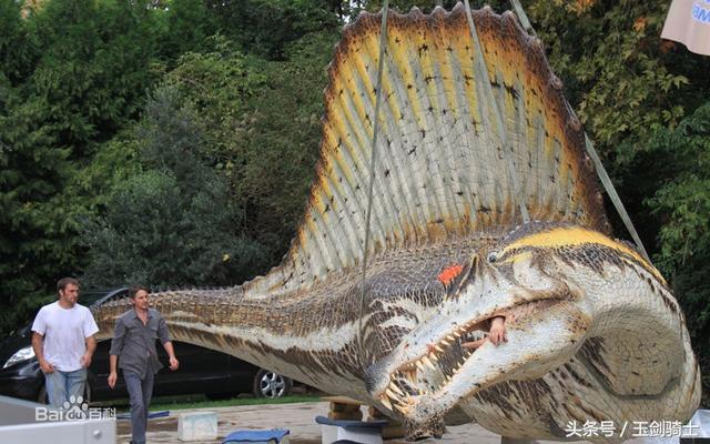 世界上最无畏惧的动物人称平头哥,世界十大凶猛动物平头哥