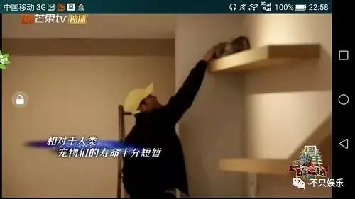 萧敬腾领养狗狗,萧敬腾领养孩子