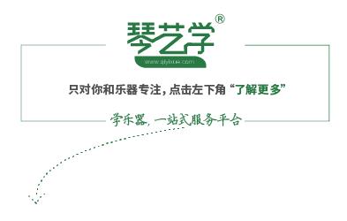 世界上最大的竖琴能响吗,世界上最大的竖管琴