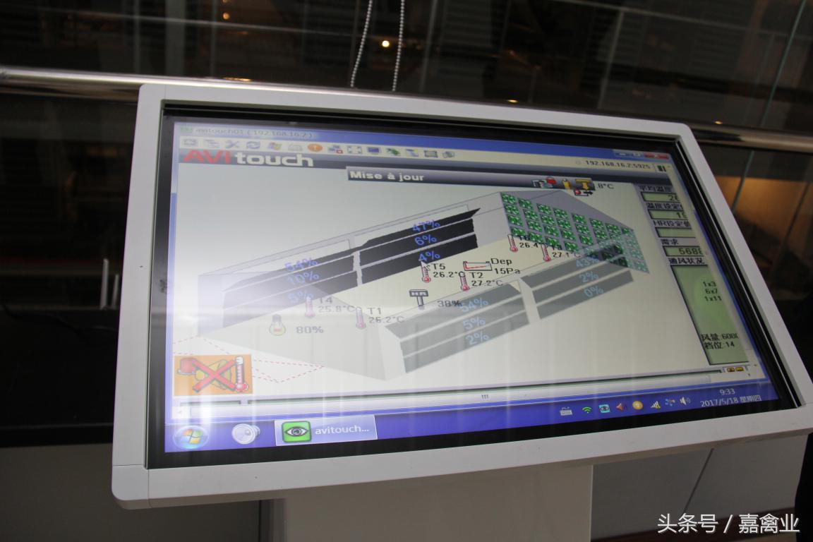 田瑞，温柔了养鸡岁月，雕刻了奋斗时光