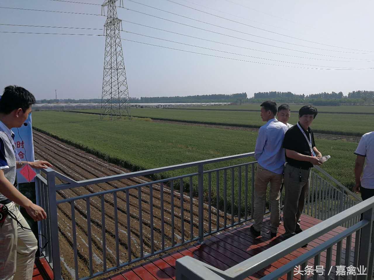 田瑞，温柔了养鸡岁月，雕刻了奋斗时光