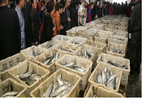 大连最值得逛的批发市场,大连海鲜市场性价比高的店