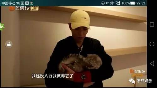 萧敬腾领养狗狗,萧敬腾领养孩子