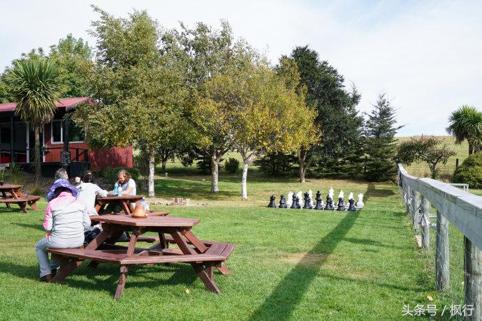 新西兰皇后镇卡瓦劳大桥蹦极,皇后镇新西兰蹦极