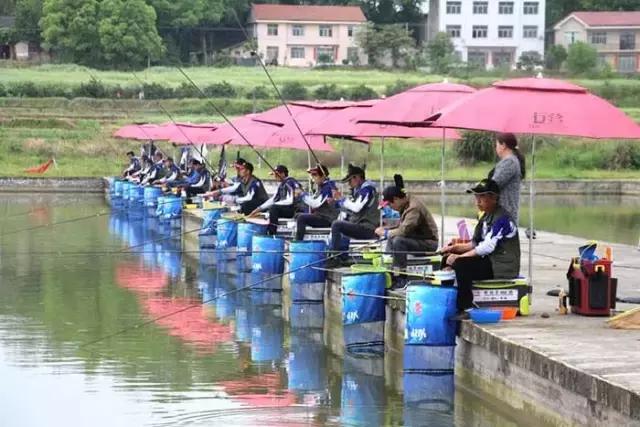 行营慈利X11战队，掐鱼比赛火爆上演