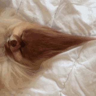 喜欢海飞丝的味道,海飞丝什么味道比较香