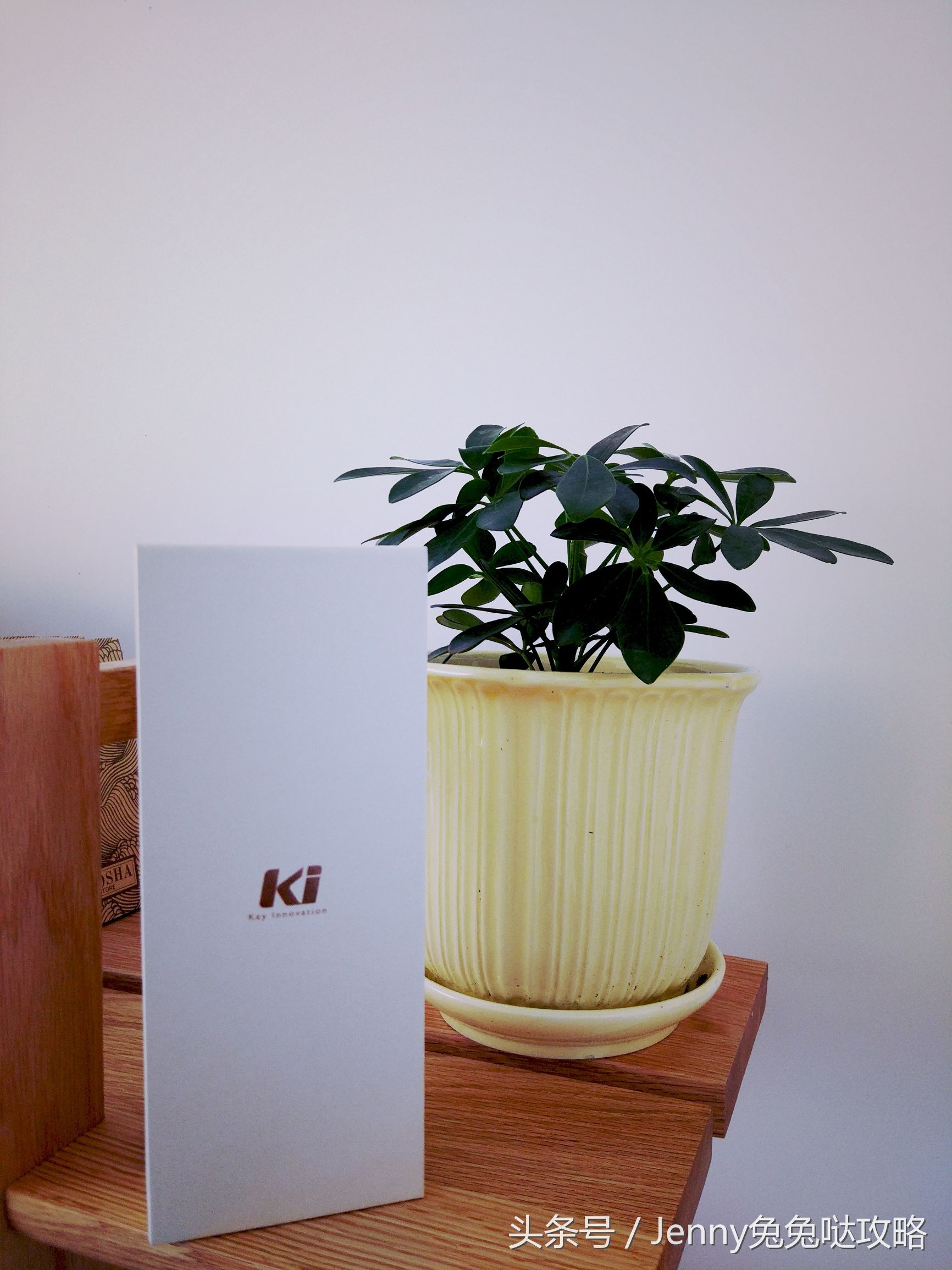 KiMBar无线直播录音麦克风想唱就唱，唱的响亮