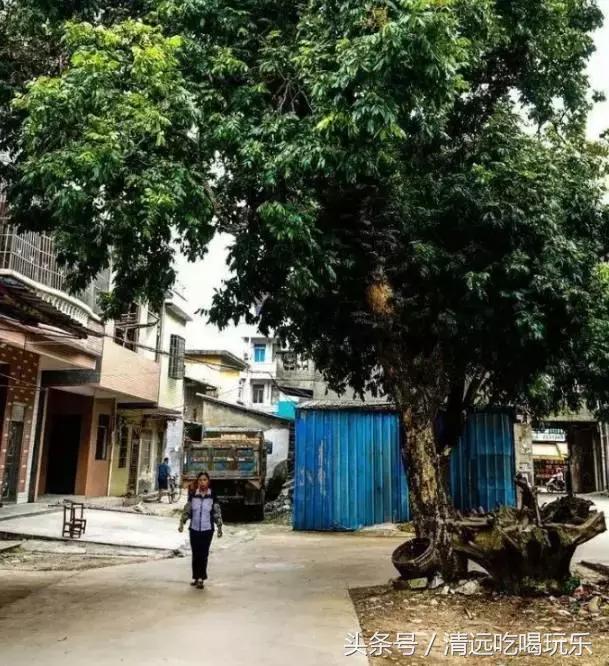英德沙口的老乡，你们记忆中的家乡是不是这样的？