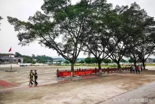 英德沙口的老乡，你们记忆中的家乡是不是这样的？