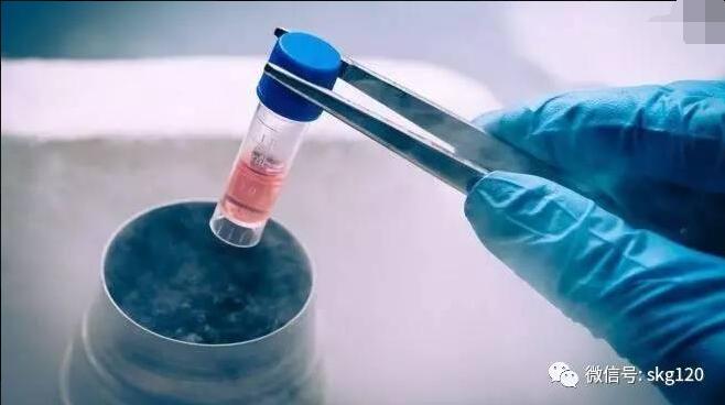 病人治疗关注事项,病人最后阶段到底要不要治疗