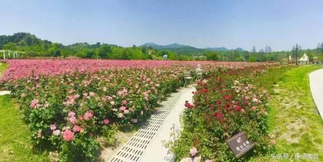 南京是一座很美的城市,南京最让人震撼的城市