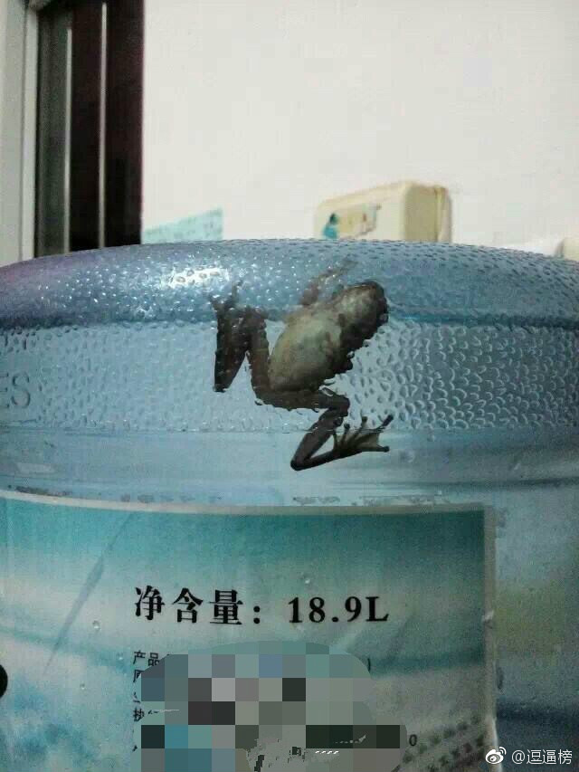 咽口水强迫症,总是想咽口水强迫症