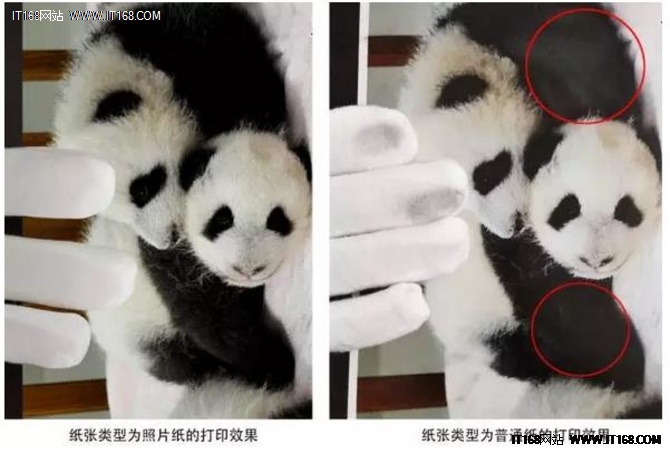 为什么打印的照片会褪色,为什么打印的照片是黑的