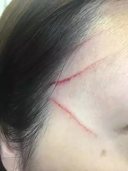 主人回家萨摩耶跑过来,萨摩耶与哈士奇争宠