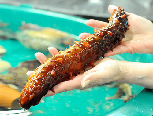 不起眼的东西能有效抑制癌细胞,可以杀死癌细胞的好东西