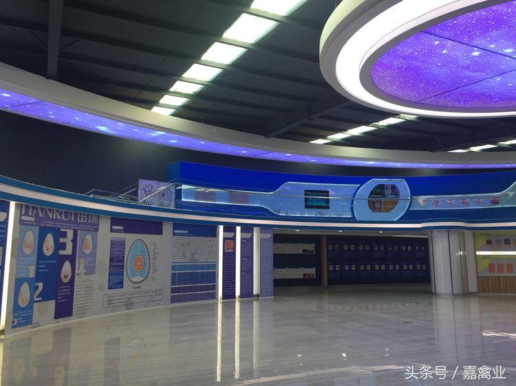 田瑞，温柔了养鸡岁月，雕刻了奋斗时光