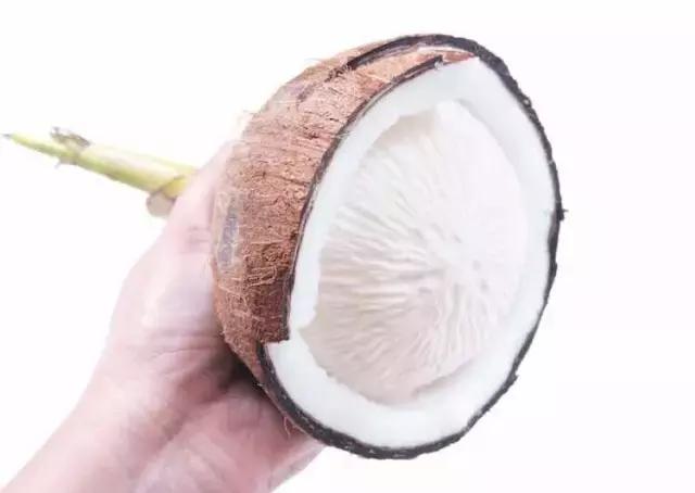 喝过椰汁的你有没有吃过椰宝,喝过椰奶能吃榴莲么